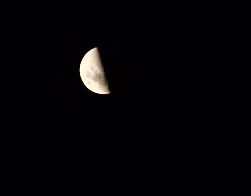 Cover image for THE MOON 
