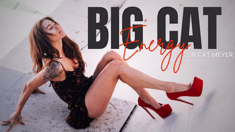 Cover image for Kajabi Evergreen Course, Big Cat Energy
