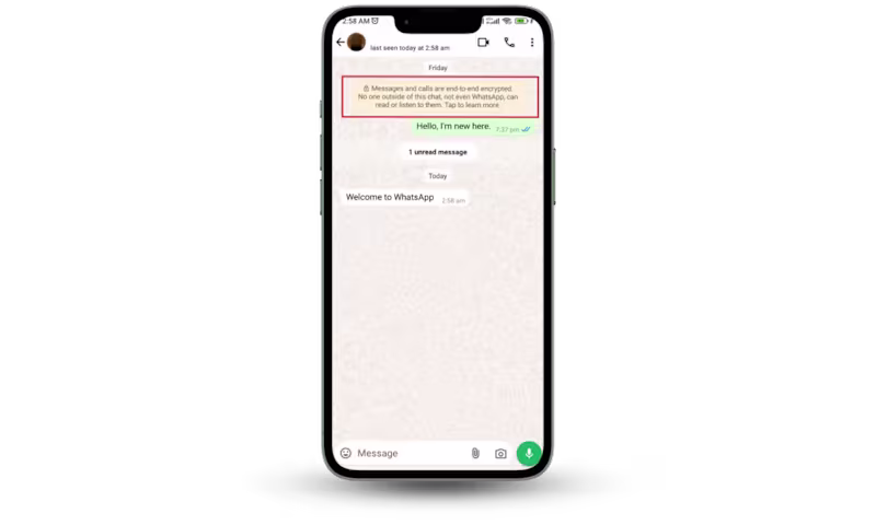 Cover image for Can Government Spy on WhatsApp