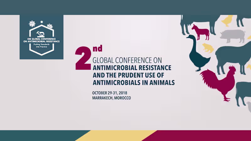 Cover image for 2nd Global Conference OIE