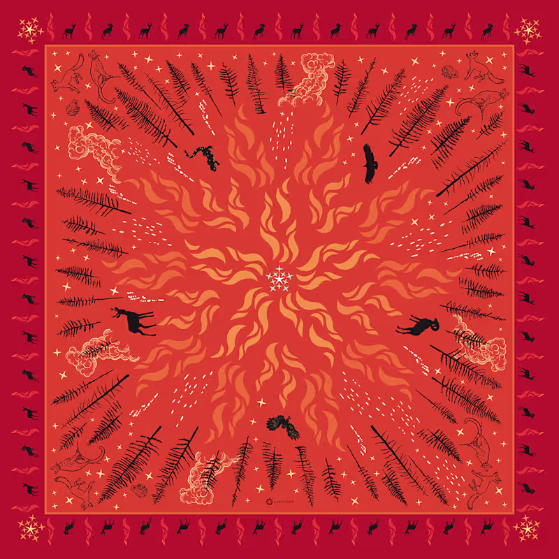 Cover image for Friendly Fire: The Science & History of Indigenous Burning