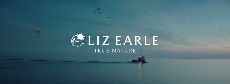 Cover image for Let It Shine — Liz Earle
