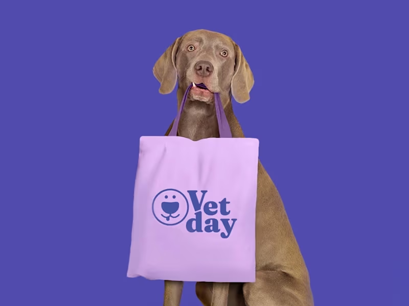 Cover image for Vetday — Veterinary Brand Identity