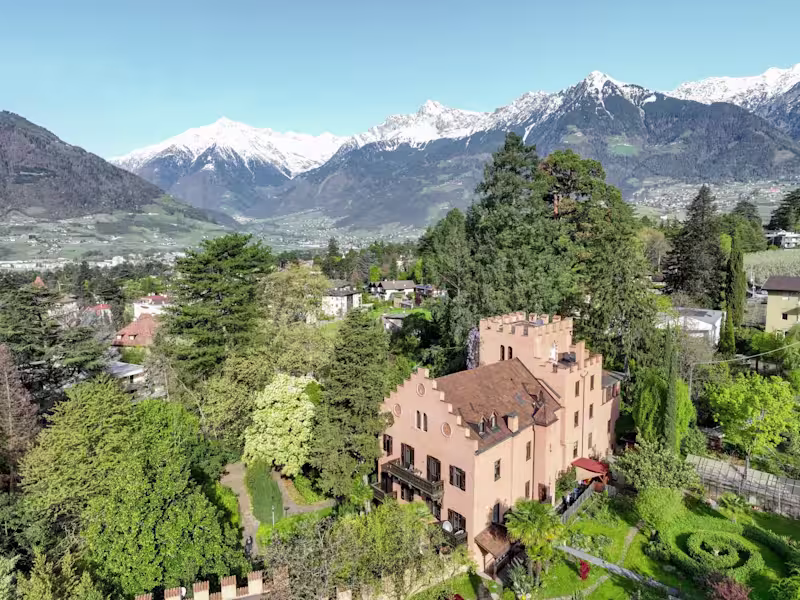 Cover image for Luxury Real Estate MOCK Example #2. Deep In The French Alps!