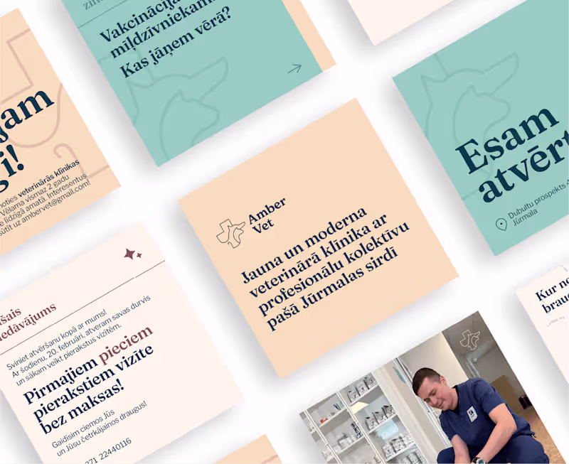 Cover image for Amber Vet | Branding & Web design