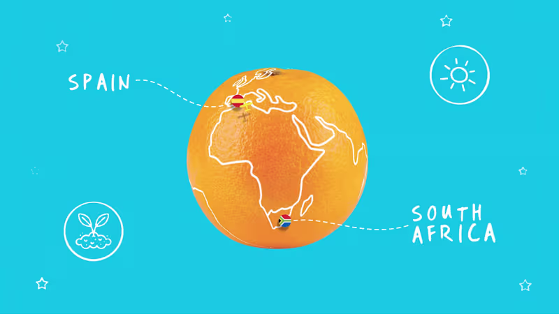 Cover image for Jaffa Juicy Oranges - Explainer Video