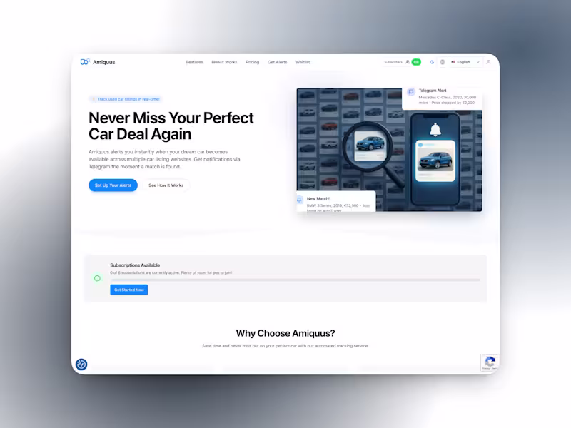 Cover image for Amiquus Website & Product Experience Redesign