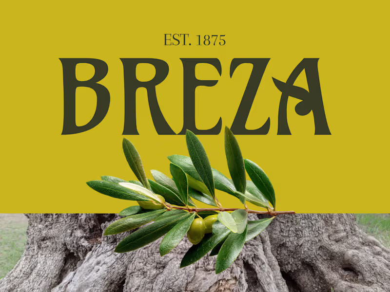 Cover image for Breza — Extra Virgin Olive Oil Brand Identity