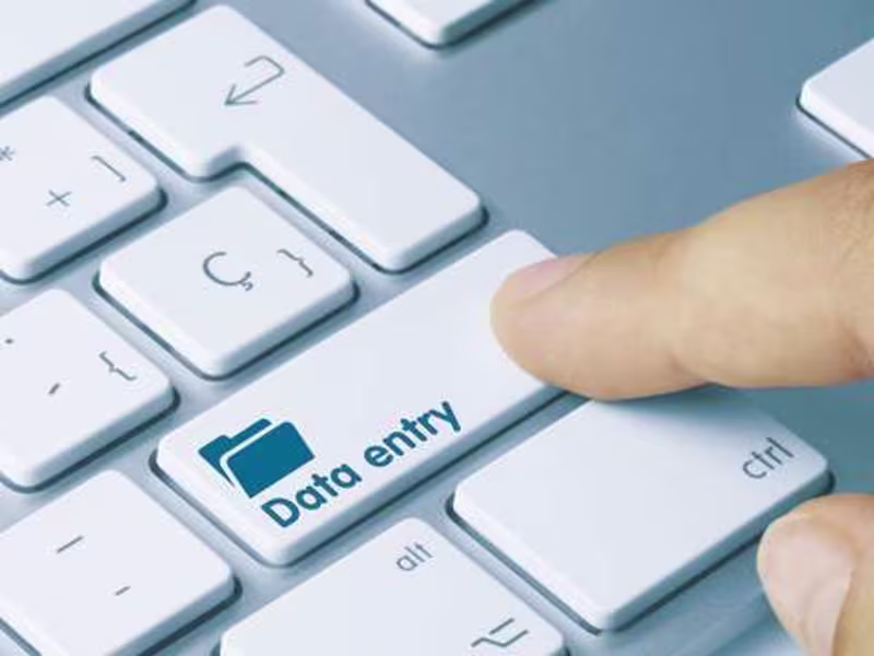 Cover image for FREELANCE DATA ENTRY CLERK