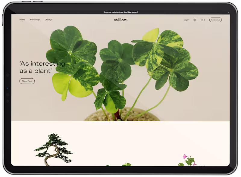 Cover image for Soilboy - Redesign of their