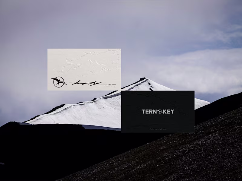 Cover image for Tern Key — Visual Identity