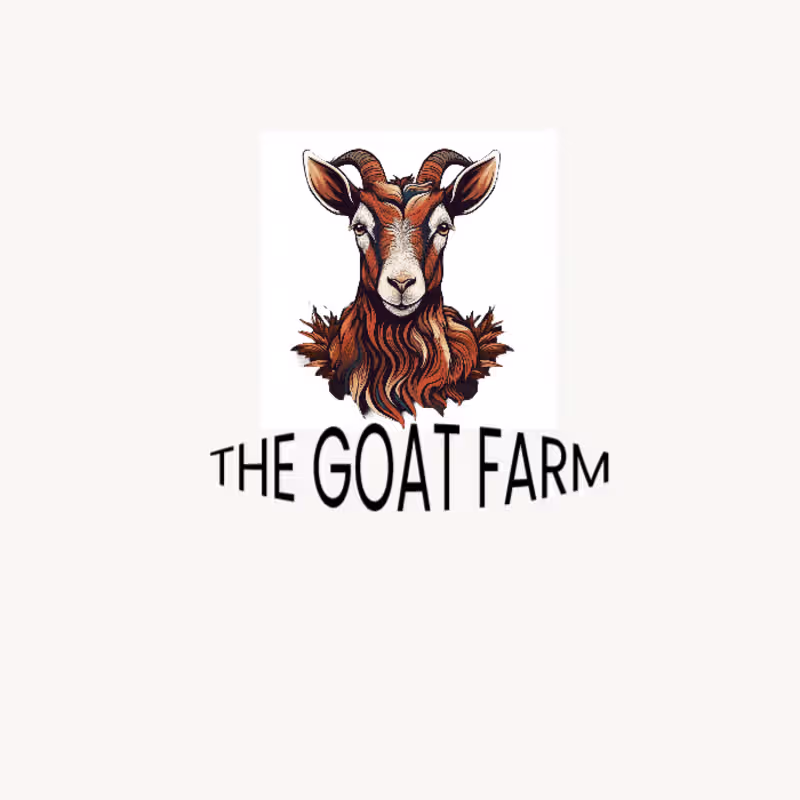 Cover image for logo design and brand designing