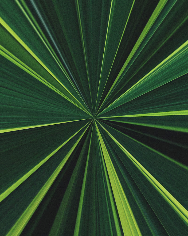 Cover image for Content Audit