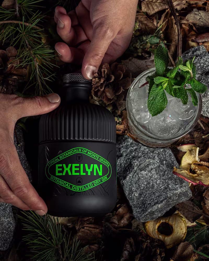 Cover image for GIN E-COMMERCE | Exelyn Gin
