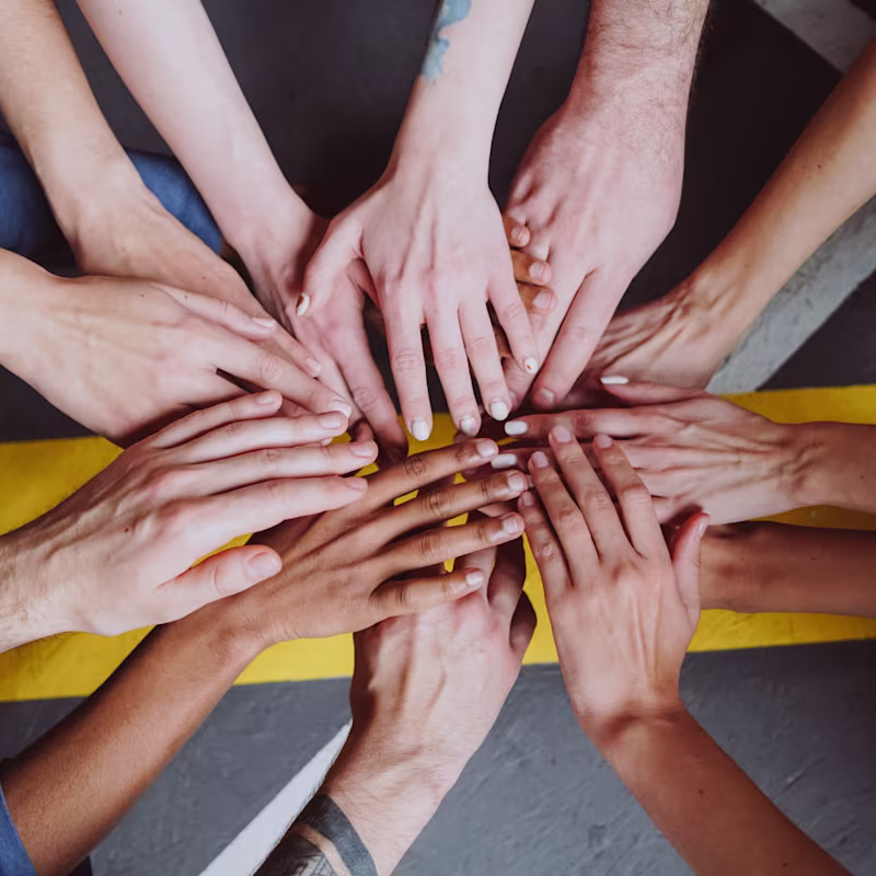 Cover image for Integrating Support into the Company Vision