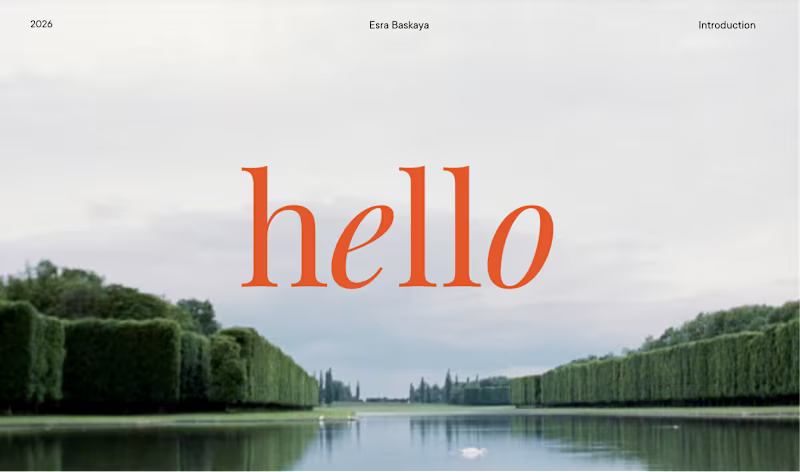 Cover image for Portfolio Presentation