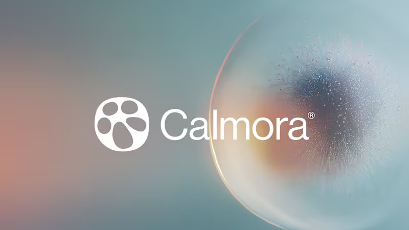 Cover image for Calmora - supplement brand identity