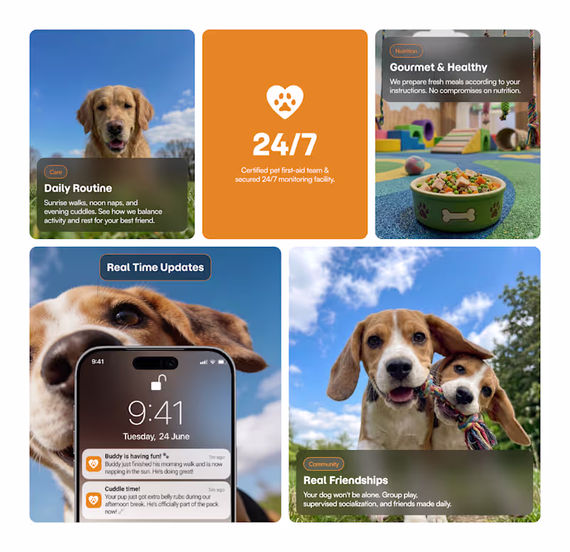 Cover image for New Framer template for dog
