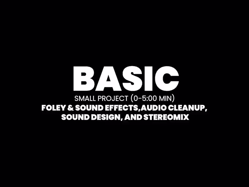 Cover image for BASIC-Small Project (0-5:00 Min)