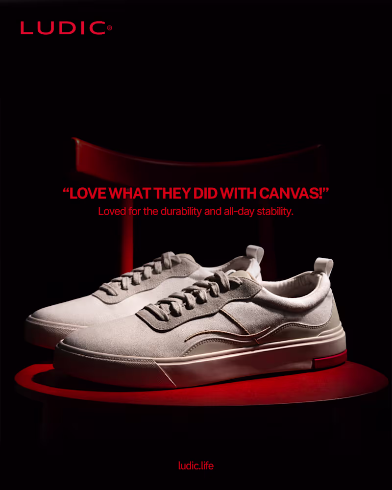 Cover image for Designed ad creatives for Ludic,