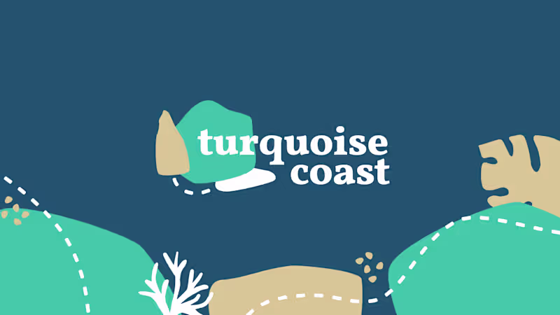 Cover image for Turquoise Coast