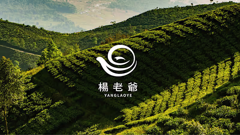 Cover image for Yang Laoye Tea House Brand Identity