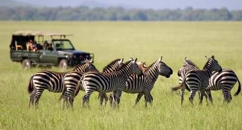Cover image for Guide to an Ethically Responsible Tanzania Safari