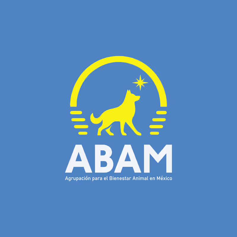 Cover image for ABAM - Capstone Project