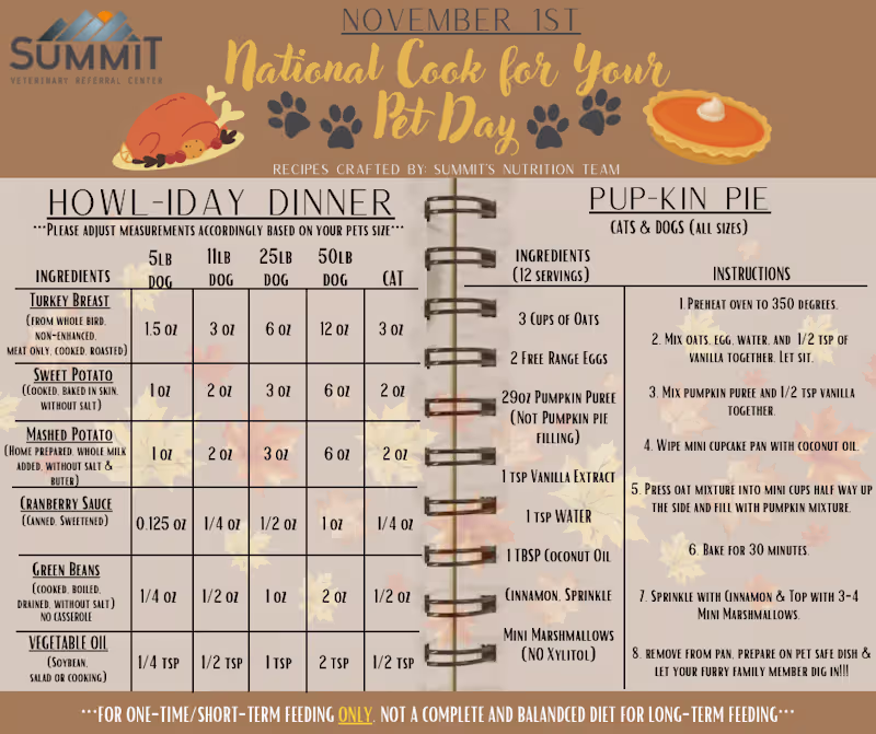 Cover image for Designed a holiday pet recipe