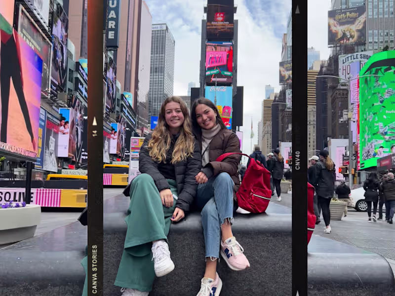 Cover image for New York´s Beauty