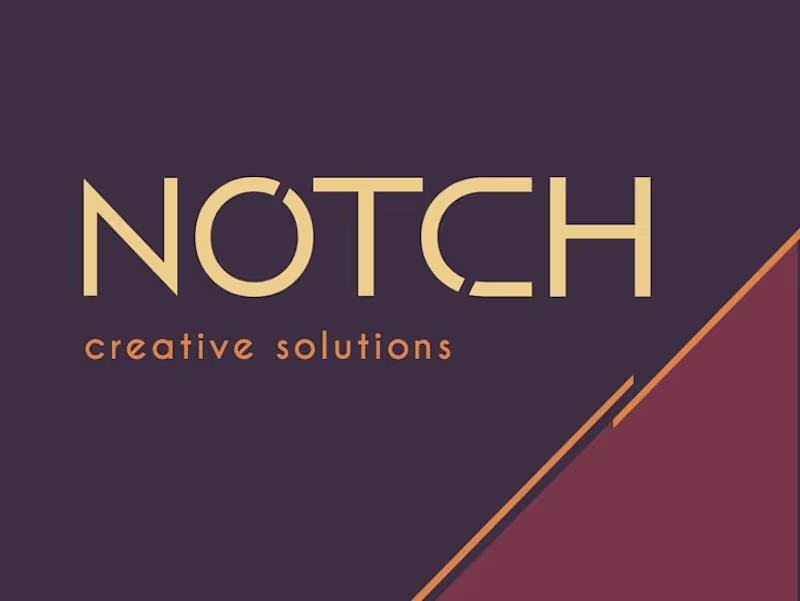 Cover image for Notch 