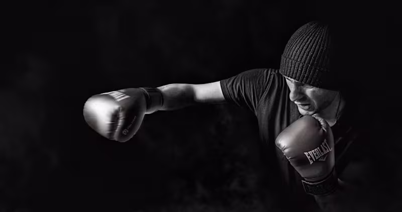 Cover image for The Punch Pro Product Collection Pages