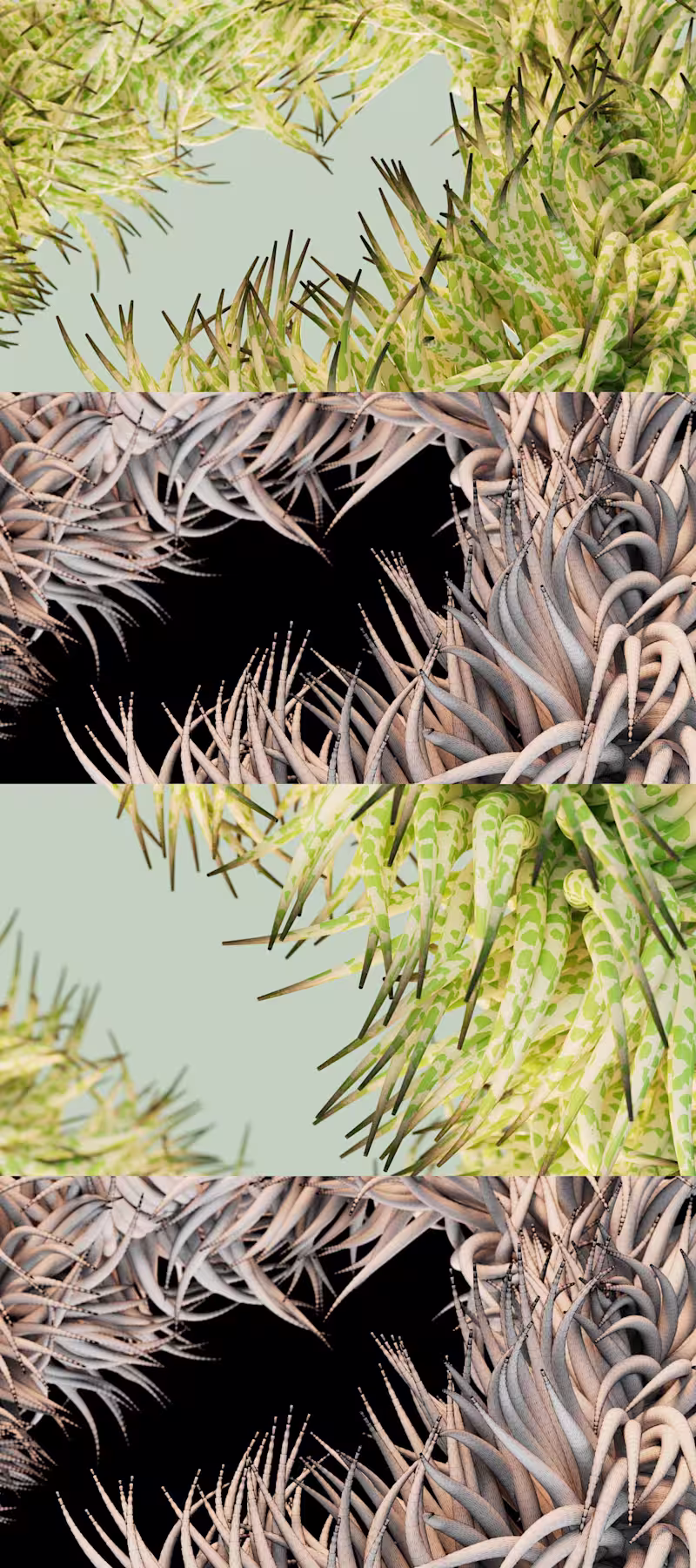 Cover image for Houdini Vellum 