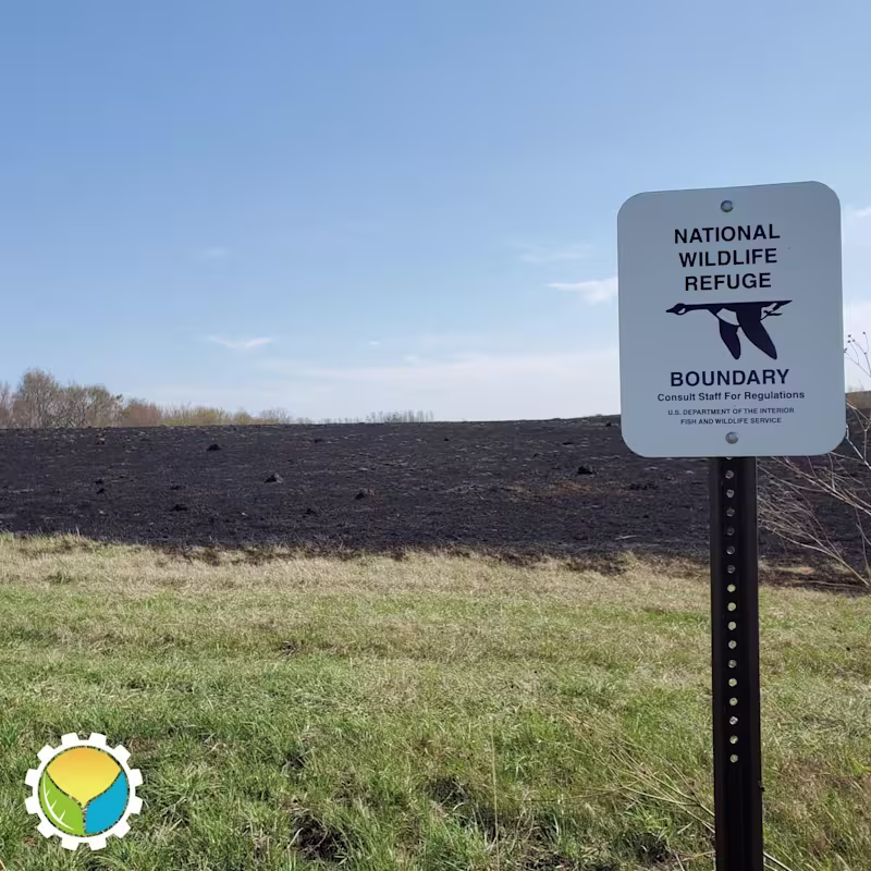 Cover image for Abundant and Stable Mollisols: The “Terra Preta” of the Midwest