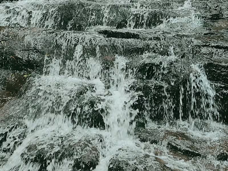 Cover image for Exploring English