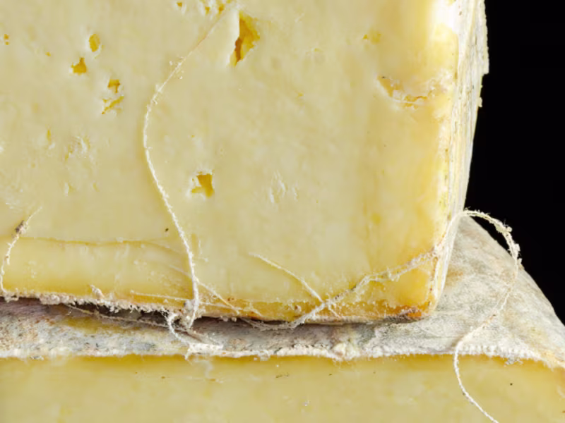 Cover image for What Is Wensleydale? 
