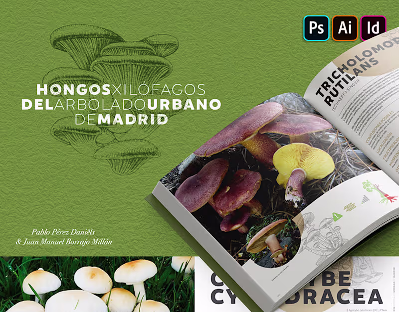 Cover image for Hongos Xilófagos Book (ESPAÑA)