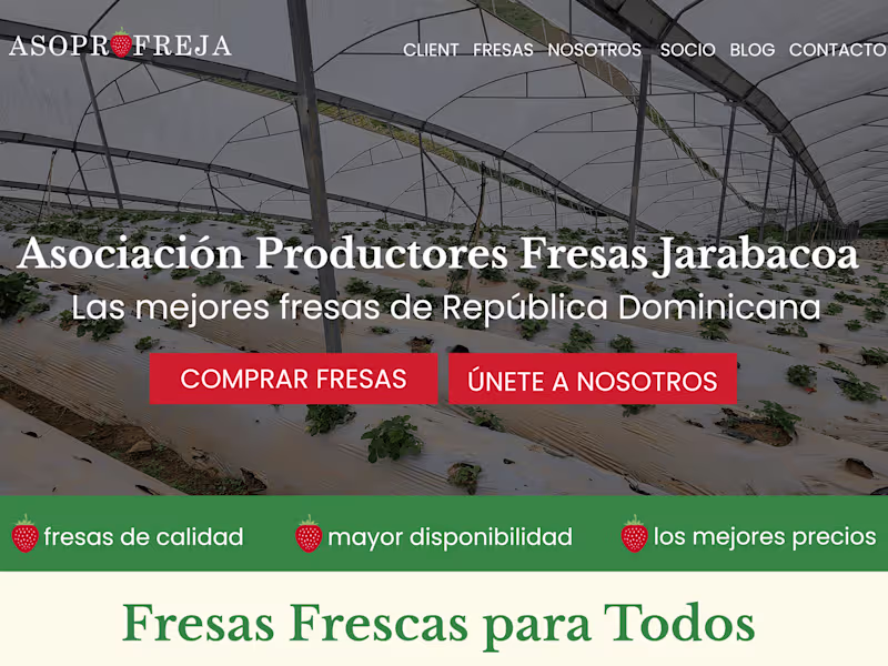 Cover image for Non-profit website Assoc. of Strawberry Producers of Jarabacoa