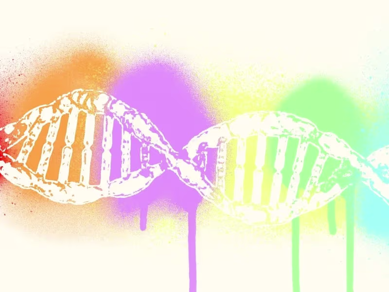 Cover image for Genetic Counseling