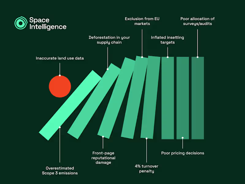 Cover image for The First Domino (Infographic)