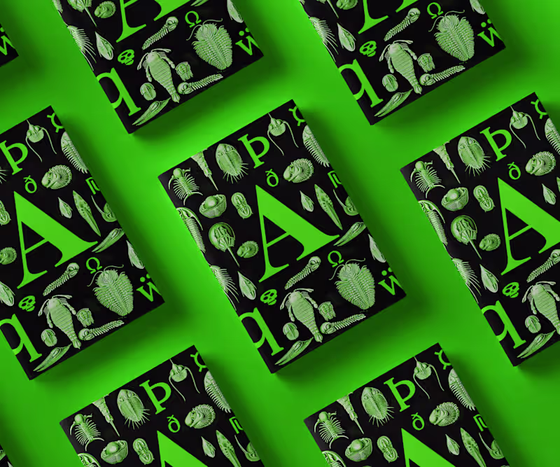 Cover image for ABC Arizona Type Specimen