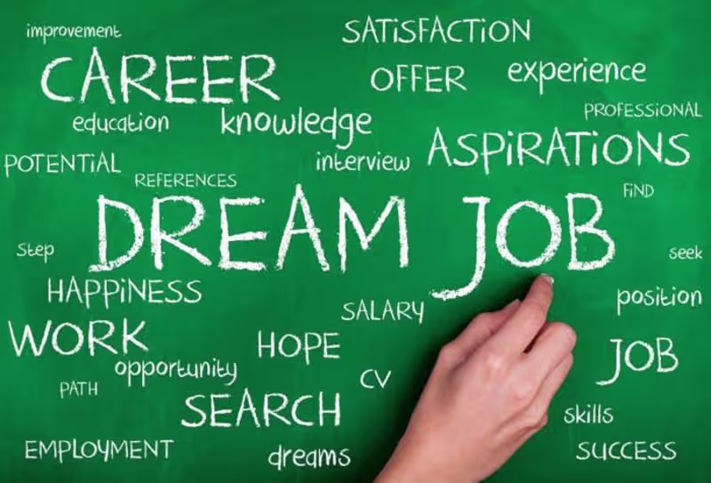 Cover image for I will search and apply remote and onsite jobs for you.