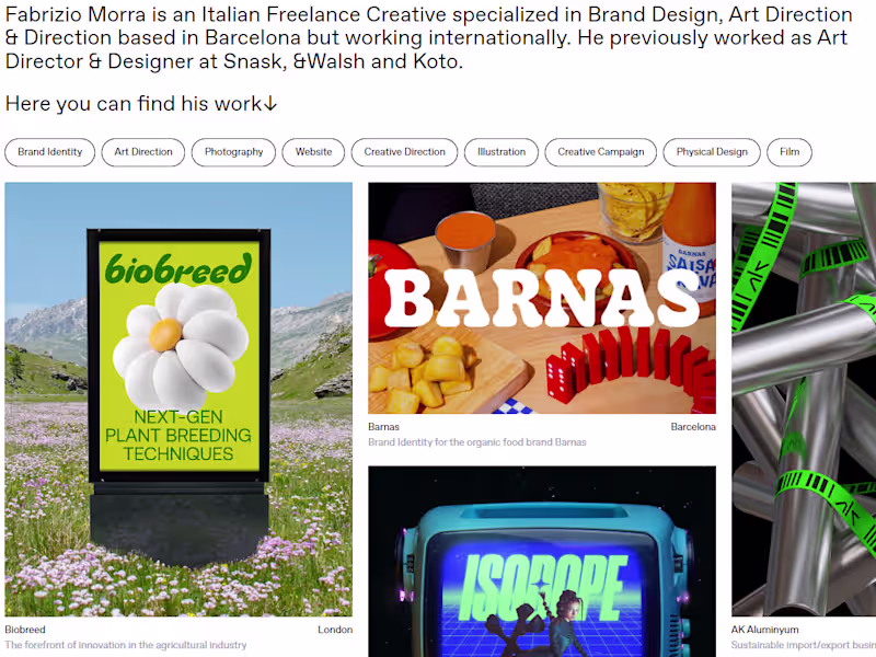 Cover image for Fabrizio Morra Website