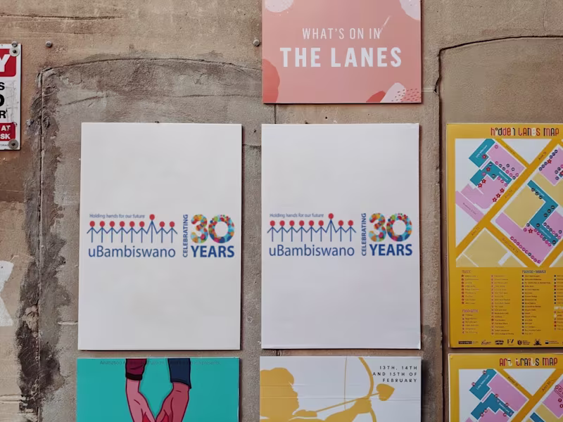 Cover image for uBambiswano