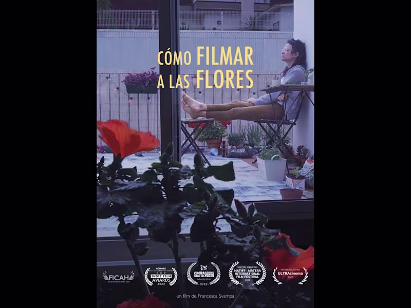 Cover image for How to Shoot Flowers
