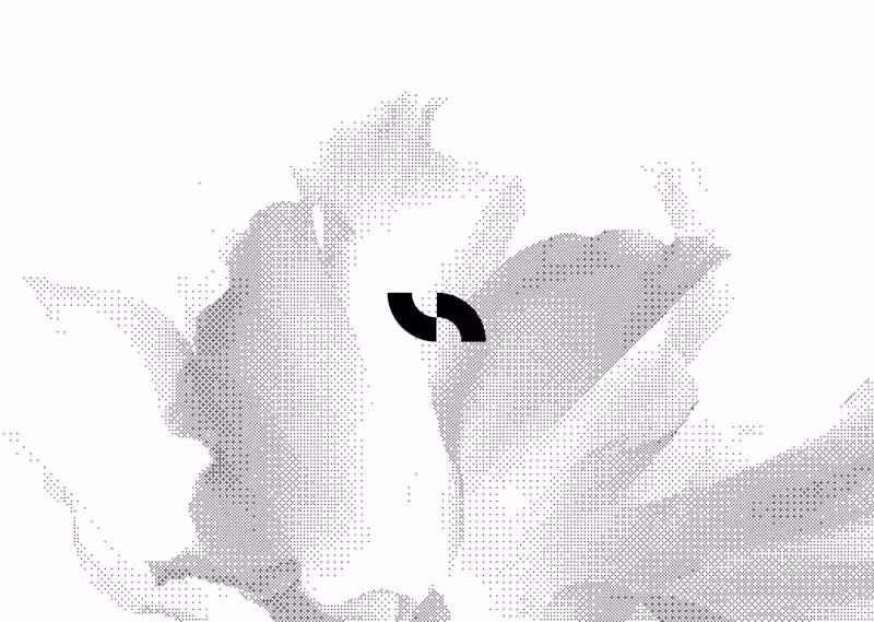 Cover image for Branding for hex.co