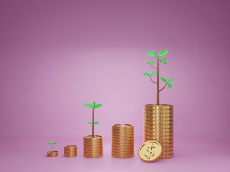 Cover image for Investment 