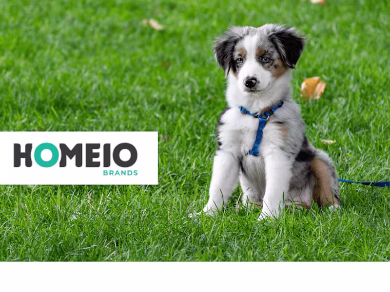 Cover image for JollyPaws: Unlocking New Opportunities in Pet Health