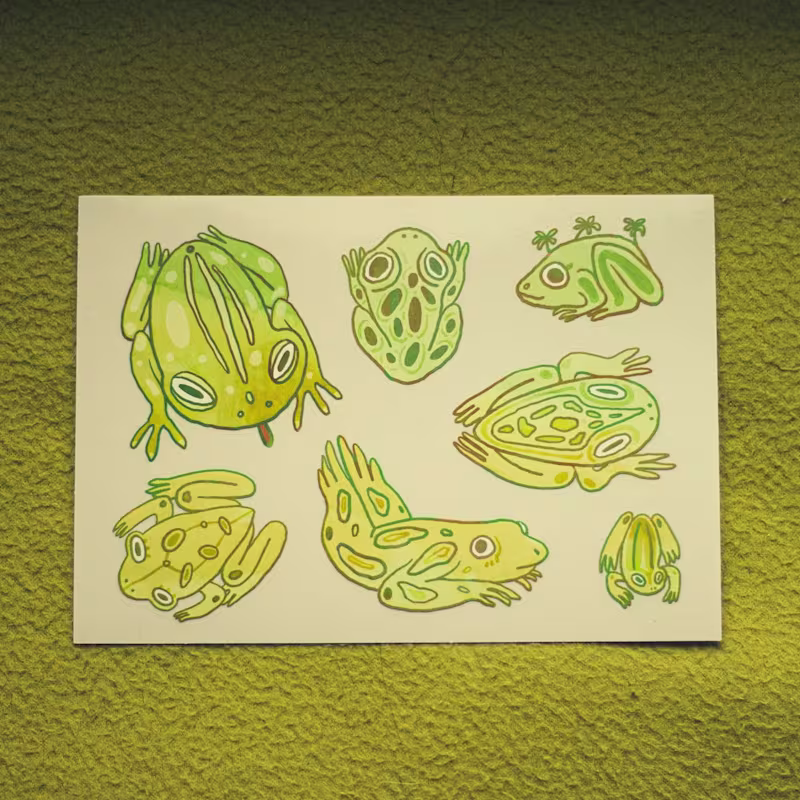 Cover image for 🐸 Magical Frogs Sticker Pack A cozy collection of hand-draw...
