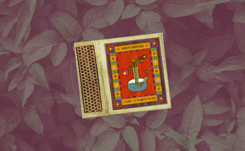 Cover image for Plants